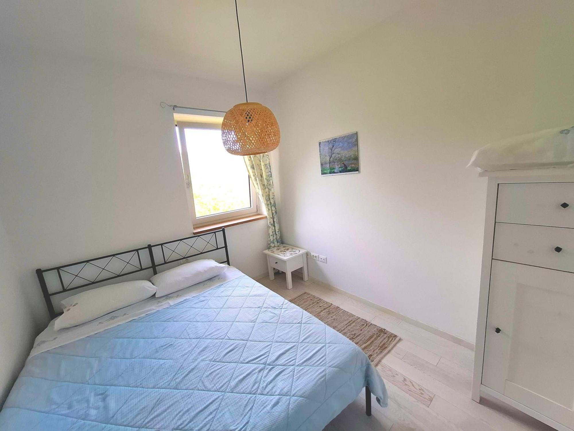 Apartma Lavanda Kojsko Eksteriør billede